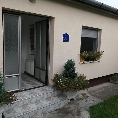 Green Apartment Nowy Sad Zewnętrze zdjęcie