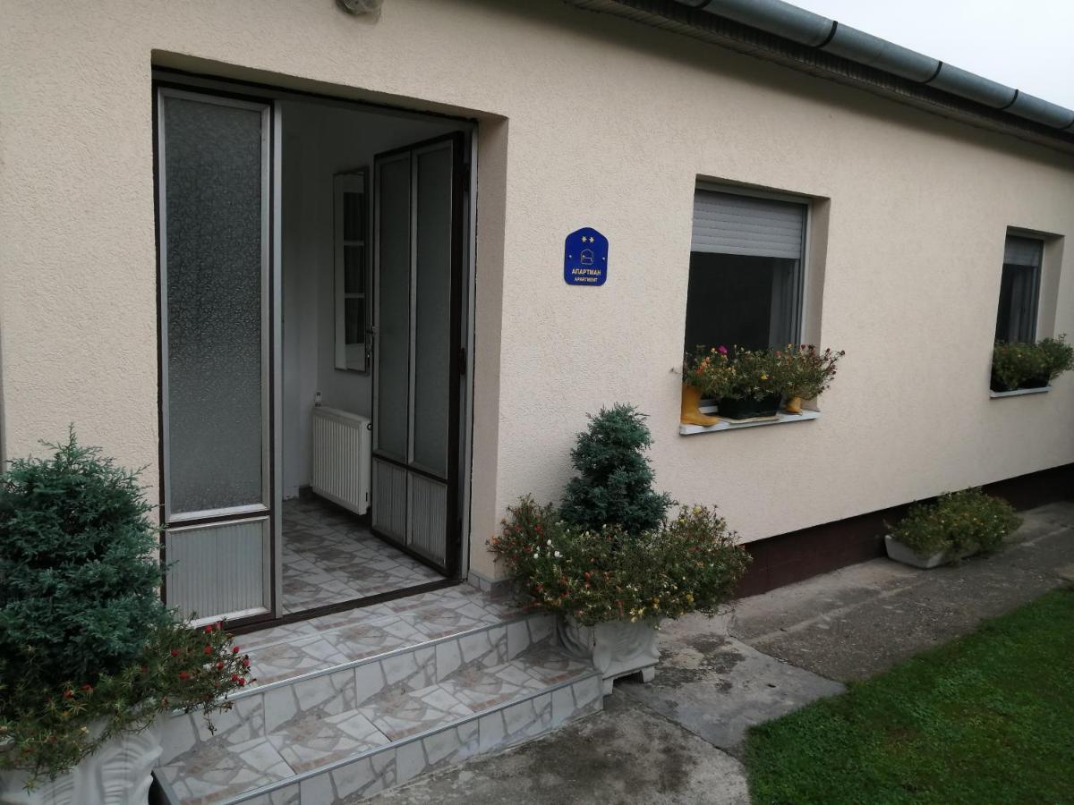 Green Apartment Nowy Sad Zewnętrze zdjęcie