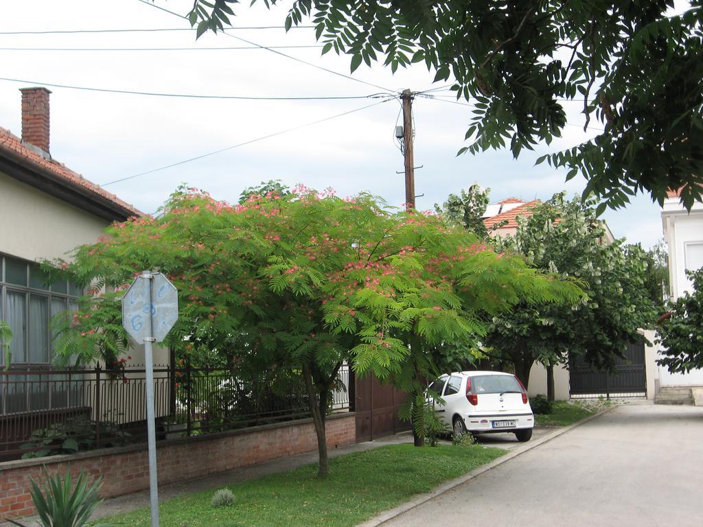 Green Apartment Nowy Sad Zewnętrze zdjęcie