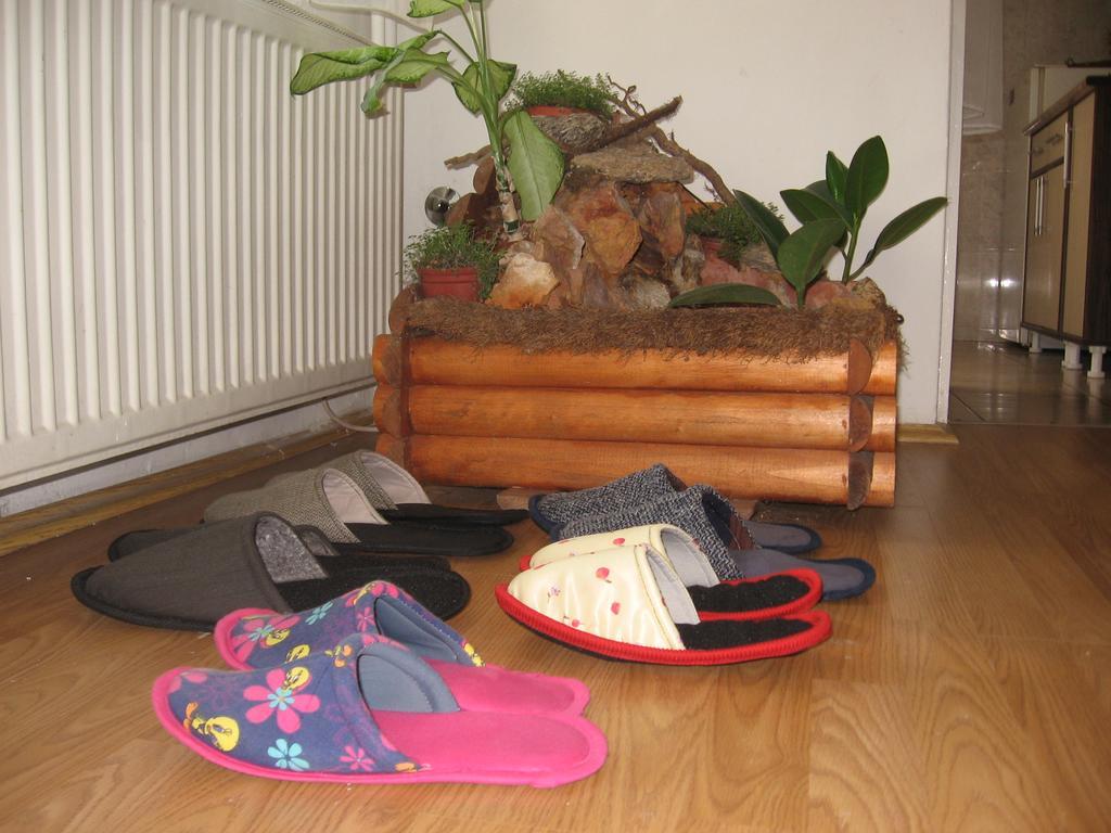 Green Apartment Nowy Sad Zewnętrze zdjęcie