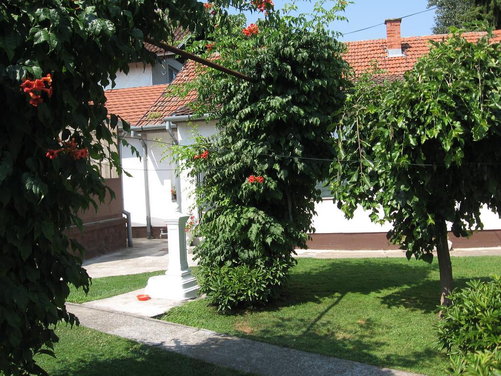 Green Apartment Nowy Sad Zewnętrze zdjęcie