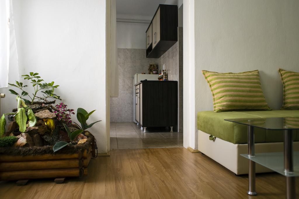 Green Apartment Nowy Sad Zewnętrze zdjęcie