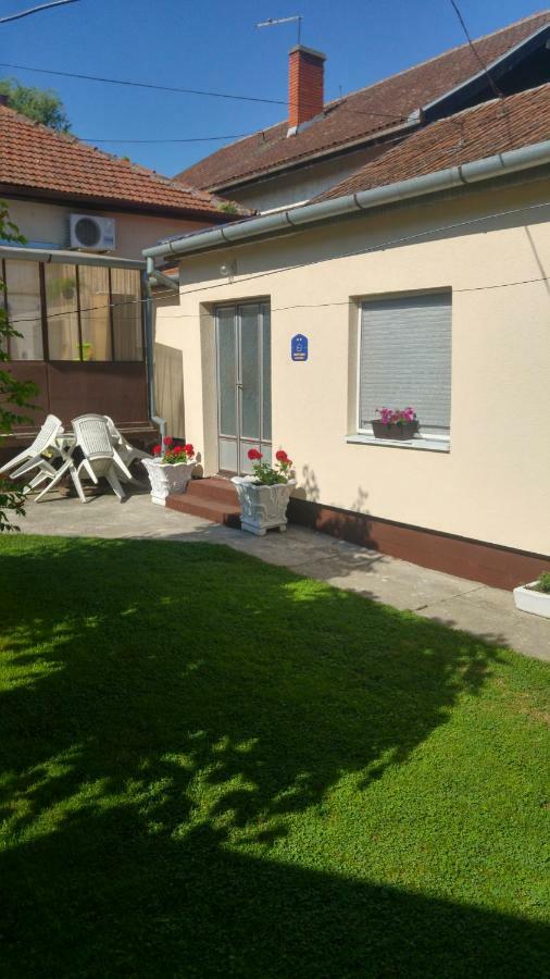 Green Apartment Nowy Sad Zewnętrze zdjęcie